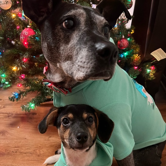 Meet your Posher, Rebecca - Picture 11 of 14